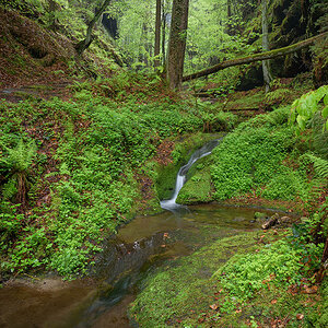 _2AG0653.jpg