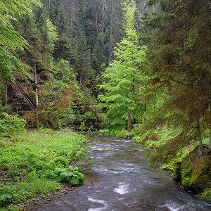 _2AG0688.jpg