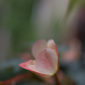 D850_1716-web.jpg