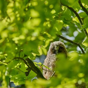 DSC_8046.jpg