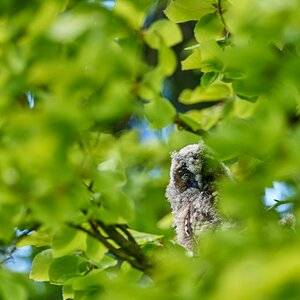 DSC_8156.jpg