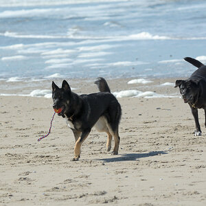 DSC_9124_00001.jpg