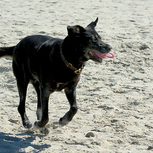 DSC_9126_00002.jpg