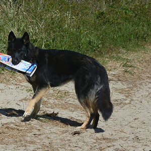 DSC_9255_00004.jpg