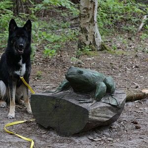 DSC_9360_00006.jpg