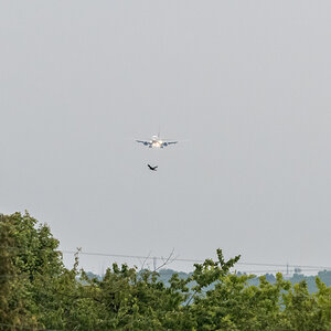 20190517-004.jpg