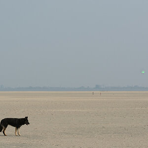 DSC_9439_00003.jpg