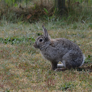 DSC_9414_00001.jpg