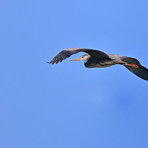 WK_DSC_5400_Forum.jpg