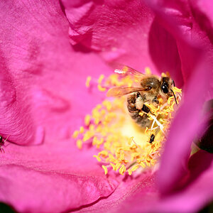 WK_DSC_5532_Forum.jpg