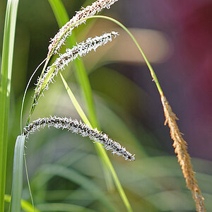 _D3S2892_DxoQxl.jpg