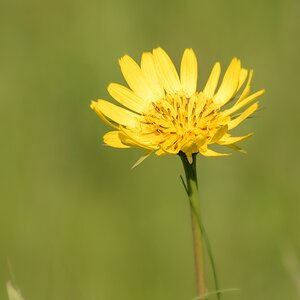comp__H011358.jpg
