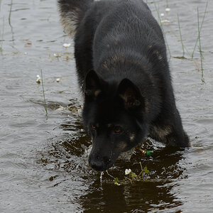 DSC_9939_00009.jpg