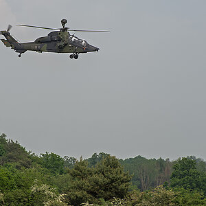 Eurocopter Tiger.jpg