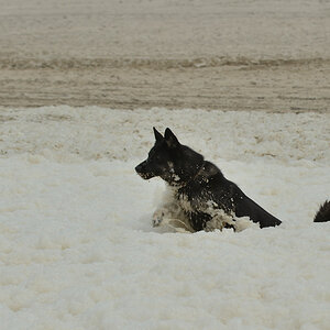 DSC_0039_00013.jpg