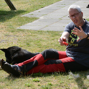 DSC_0208_00007.jpg