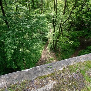 DSC_0378_DxO2.jpg