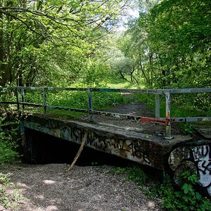 DSC_0382_DxO2.jpg
