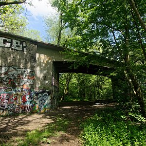 DSC_0404_DxO2.jpg