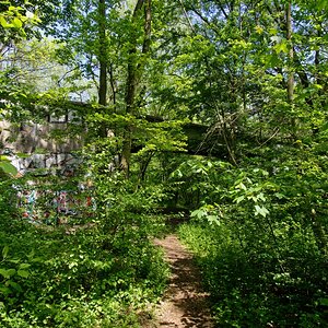 DSC_0405_DxO2.jpg