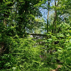 DSC_0406_DxO2.jpg
