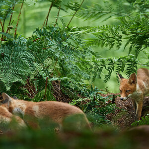 DSC_9967.jpg