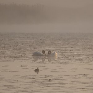 AK2_7481