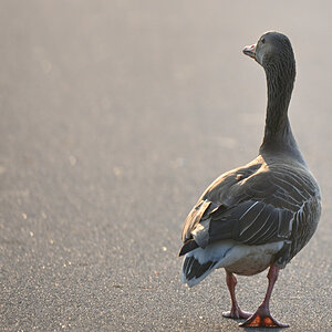 WK_DSC_5641_Forum.jpg