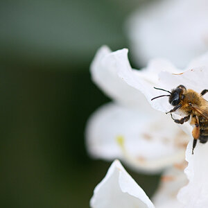 WK_DSC_5726_Forum.jpg