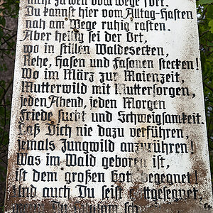 Waldinschrift.jpg