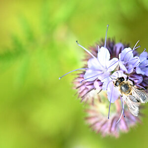 WK_DSC_5566_Forum.jpg
