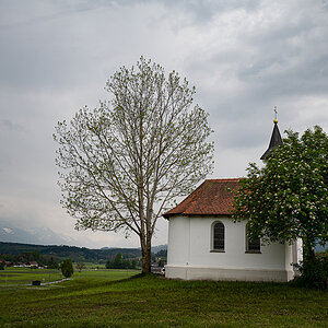 _DSC4969-Bearbeitet-Bearbeitet-1.jpg
