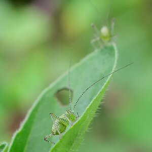 DSC_0024_01.JPG