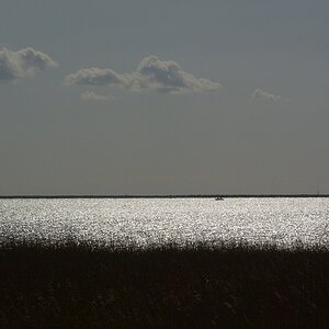 DSC_3175.jpg
