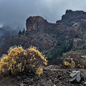 2011-11_Teneriffa_Teide_DSE_8874_nff.JPG