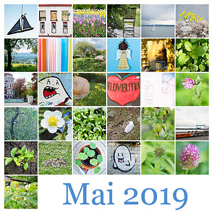 Mosaik Mai 2019