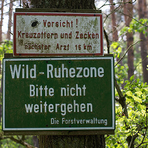 Heideschild.jpg