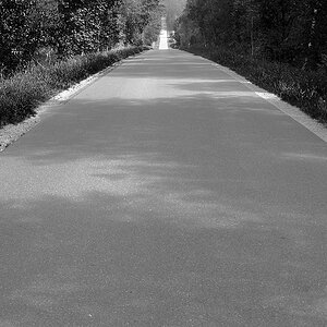The Road goes ever on.jpg