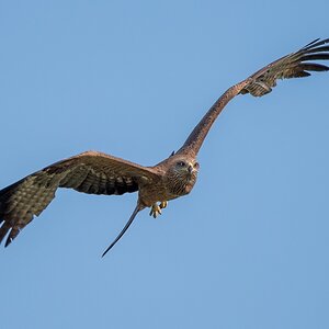 D50_1914_Frontalanflug IA_5_2019.jpg