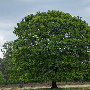 B0004586.jpg
