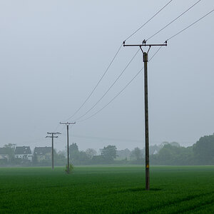 B0006361.jpg