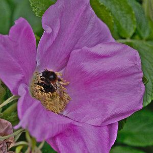 DSC_9474.jpg