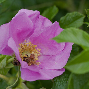 DSC_9453.jpg