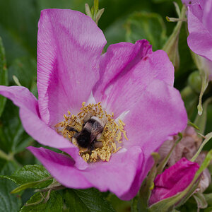 DSC_9442.jpg