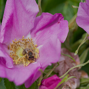 DSC_9425.jpg