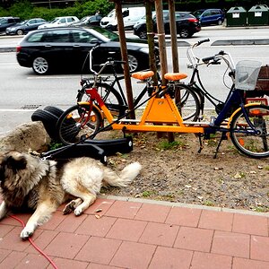 tandem.1.jpg