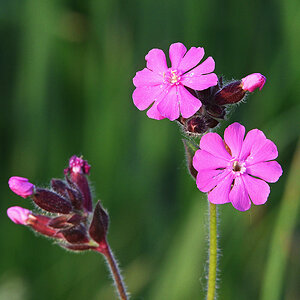 811_3295at0l10fks30p1f.jpg