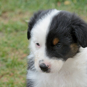 Nala Preun -091.jpg