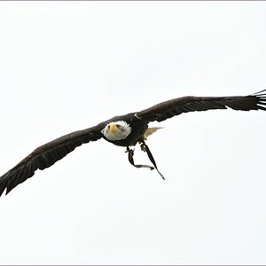 comp_DSC_17200 - Zingst.jpg