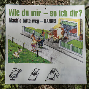 Schild Kuh.jpg